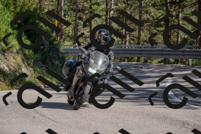 202506281612-DSC_6353_c4_