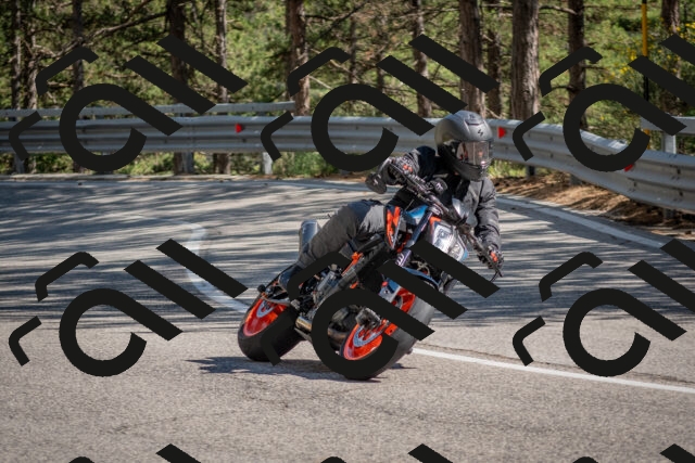 202506281613-DSC_6361_c4_