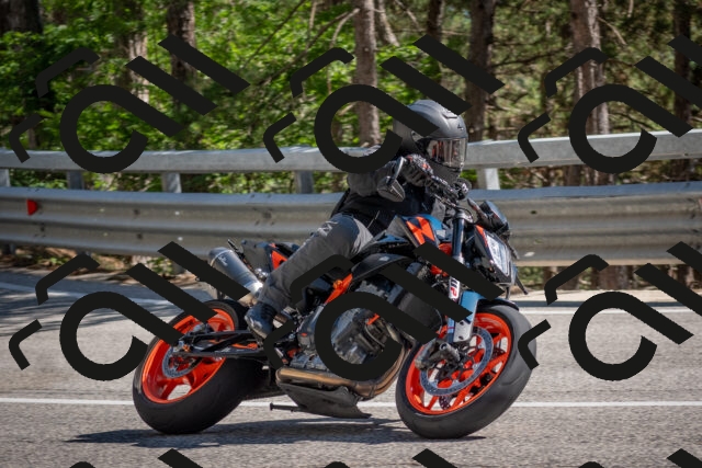 202506281613-DSC_6362_c4_