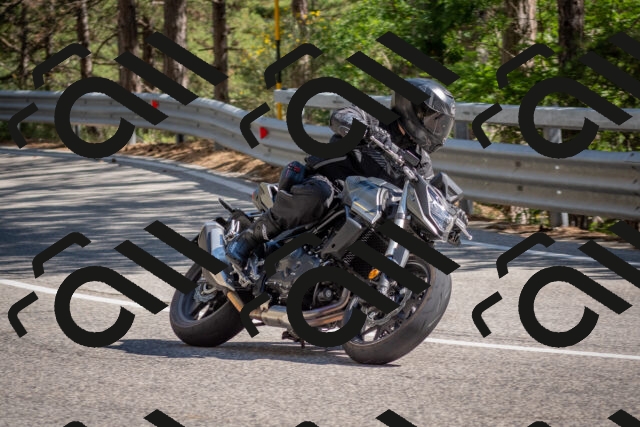 202506281613-DSC_6364_c4_