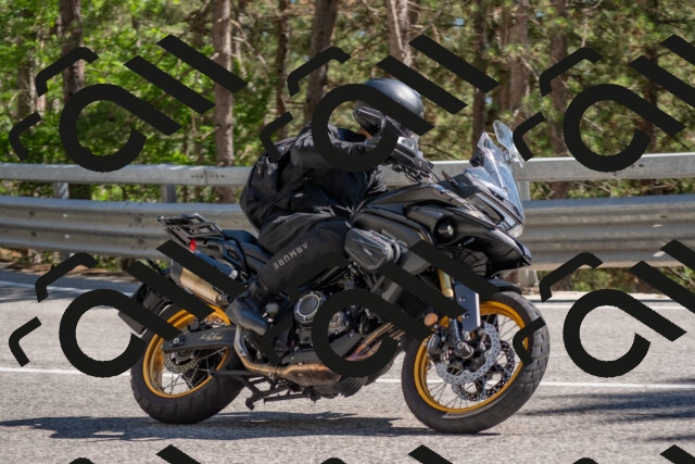 202506281613-DSC_6377_c4_