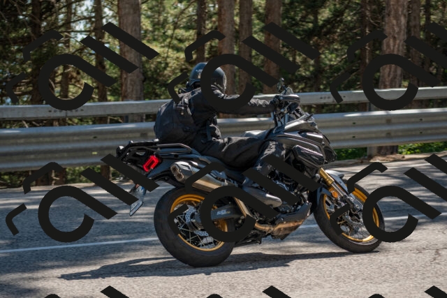 202506281613-DSC_6379_c4_