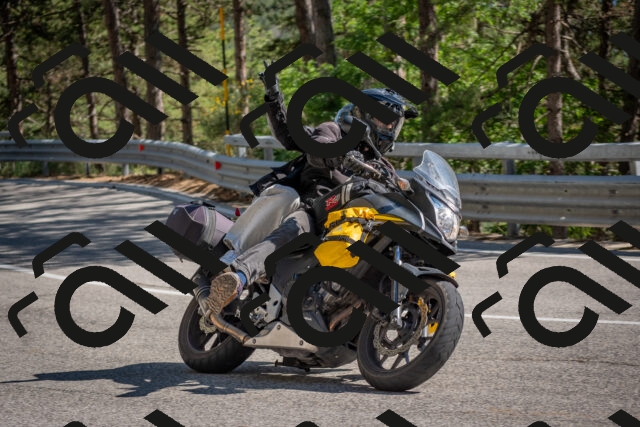 202506281615-DSC_6381_c4_