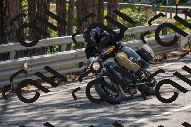 202506281618-DSC_6384_c4_