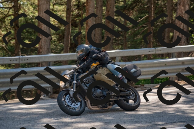 202506281618-DSC_6385_c4_