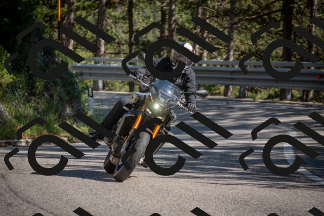 202506281623-DSC_6440_c4_