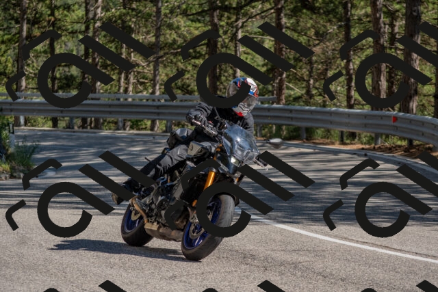 202506281623-DSC_6441_c4_