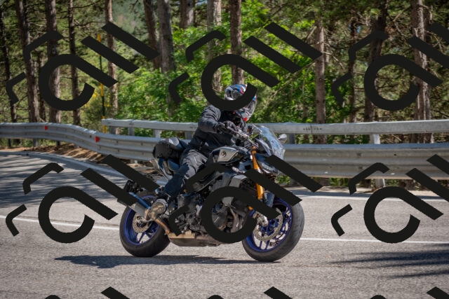 202506281623-DSC_6442_c4_