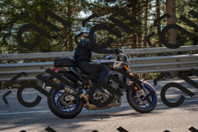 202506281623-DSC_6444_c4_