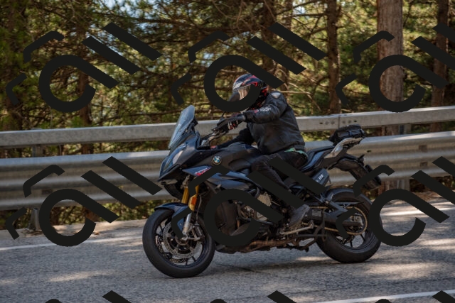 202506281625-DSC_6455_c4_