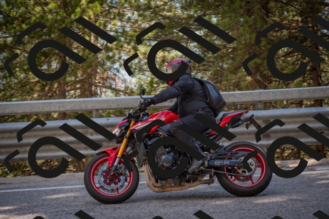 202506281626-DSC_6459_c4_