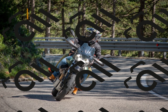 202506281628-DSC_6465_c4_