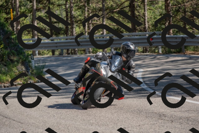 202506281630-DSC_6479_c4_