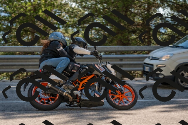 202506281630-DSC_6485_c4_