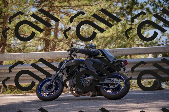 202506281631-DSC_6499_c4_