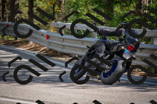 202506281631-DSC_6500_c4_