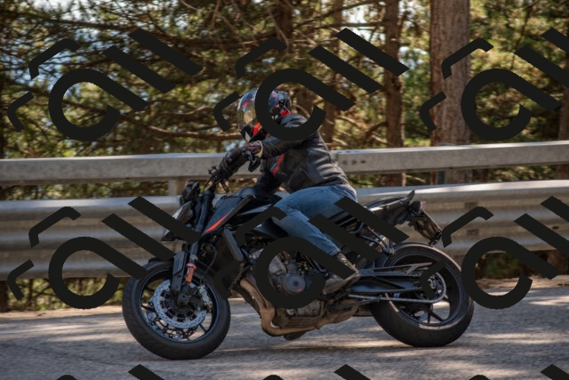 202506281631-DSC_6502_c4_