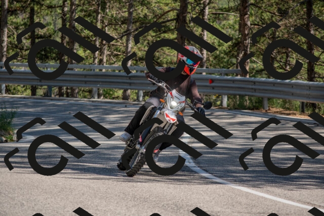 202506281631-DSC_6505_c4_