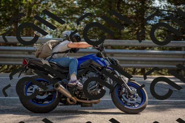 202506281632-DSC_6519_c4_