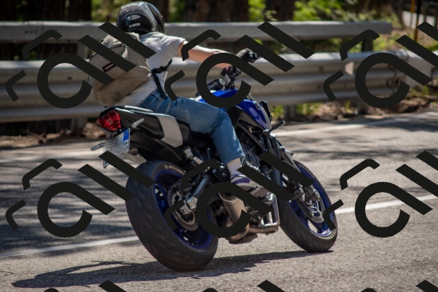 202506281632-DSC_6520_c4_