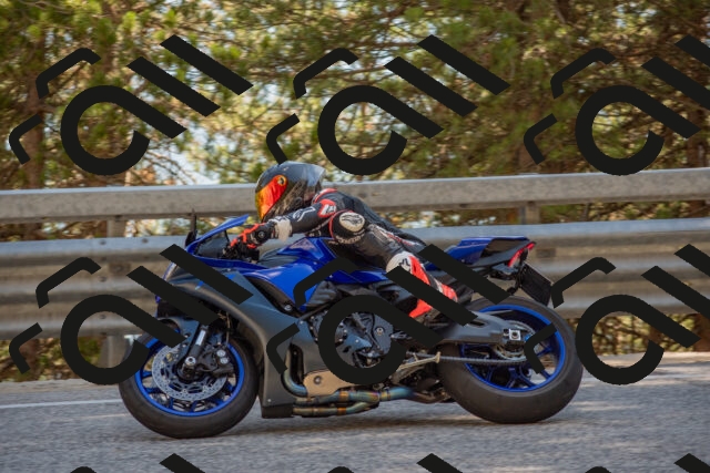 202506281633-DSC_6523_c4_