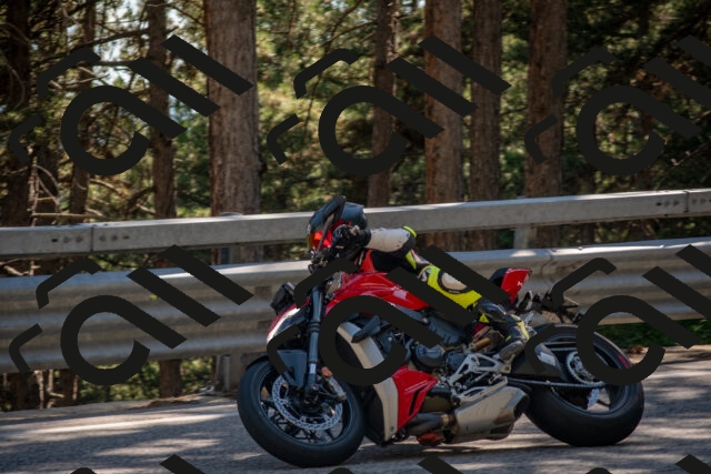 202506281633-DSC_6524_c4_