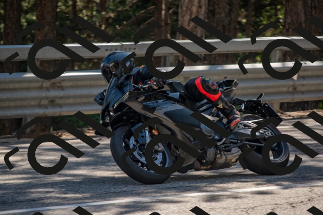 202506281634-DSC_6528_c4_