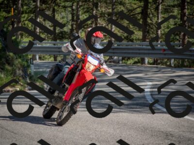 202506281635-DSC_6531_c4_