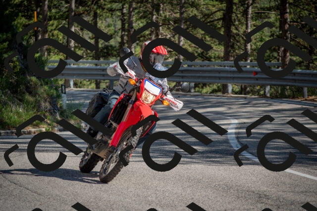 202506281635-DSC_6531_c4_