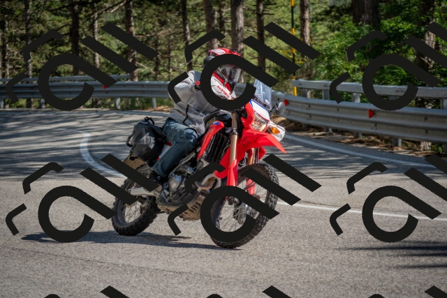 202506281635-DSC_6532_c4_