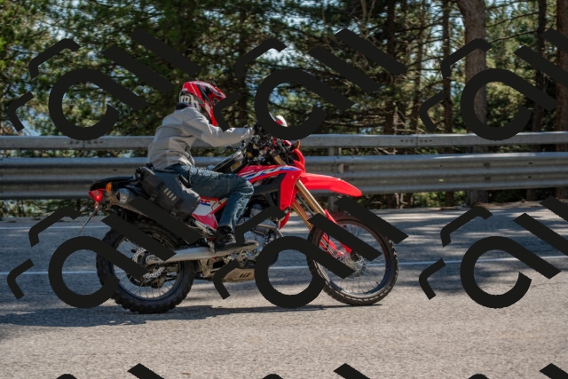 202506281635-DSC_6534_c4_