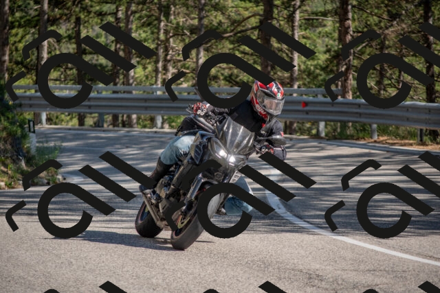 202506281636-DSC_6535_c4_