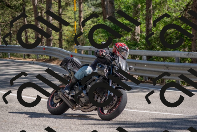 202506281636-DSC_6536_c4_