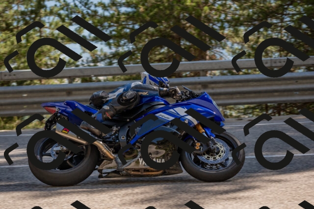 202506281636-DSC_6541_c4_