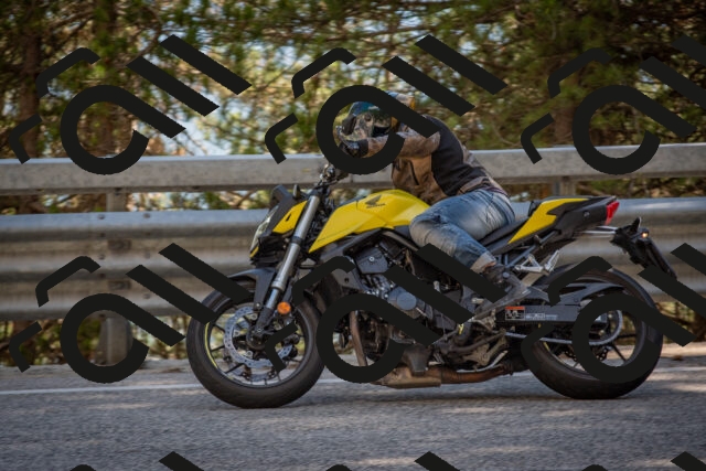 202506281640-DSC_6550_c4_