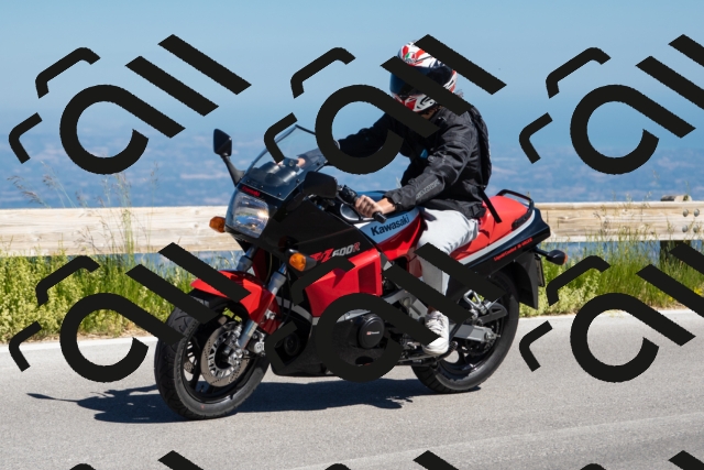 202506281021-239A8955-_c6_