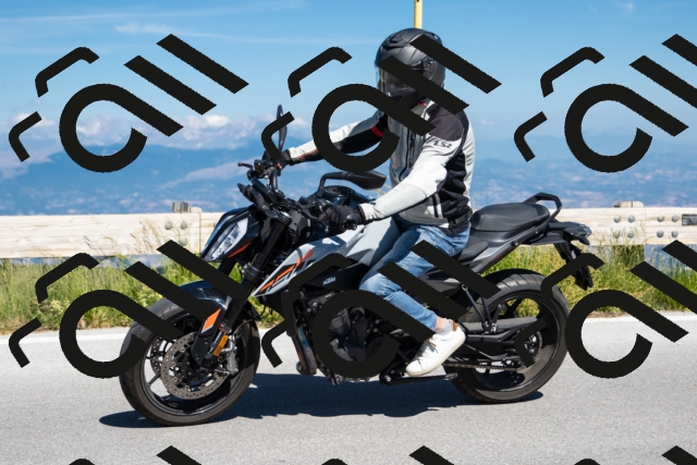 202506281021-239A8960-_c6_