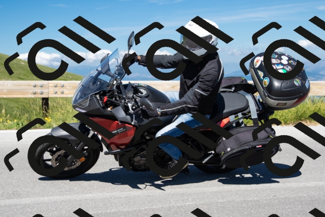 202506281034-239A8986-_c6_