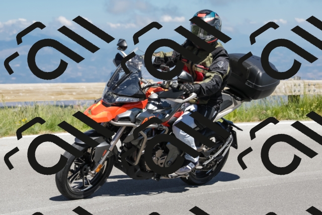 202506281054-239A9046-_c6_