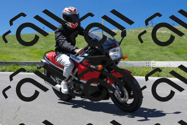 202506281055-239A9054-_c6_