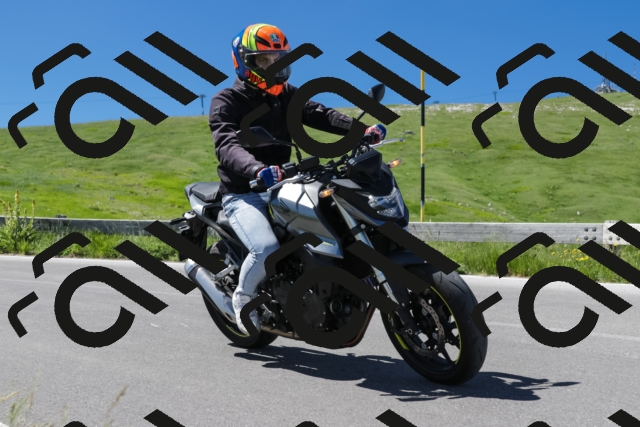 202506281055-239A9056-_c6_