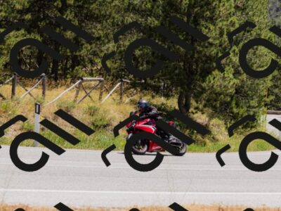 202506291310-_04A5533_c3_