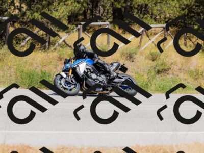 202506291436-_04A6100_c3_