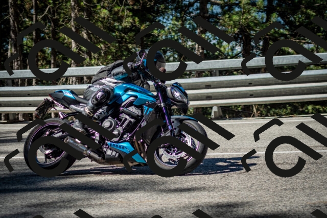 202506291006-DSC_2183_c2