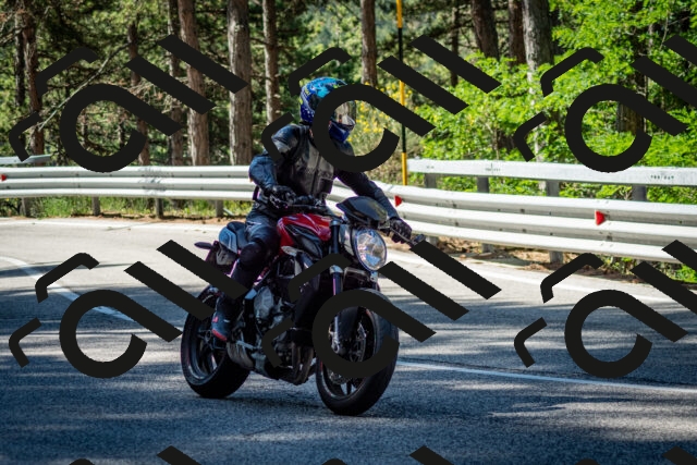 202506291007-DSC_2185_c2