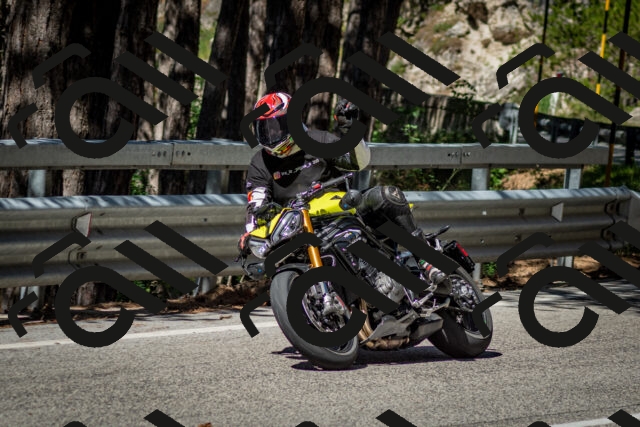 202506291009-DSC_2194_c2