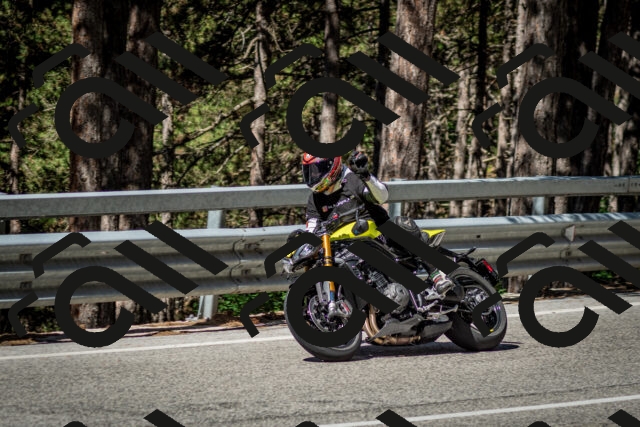 202506291009-DSC_2195_c2