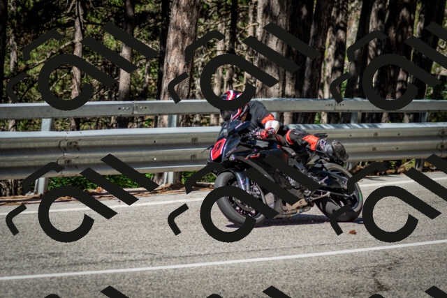 202506291009-DSC_2196_c2