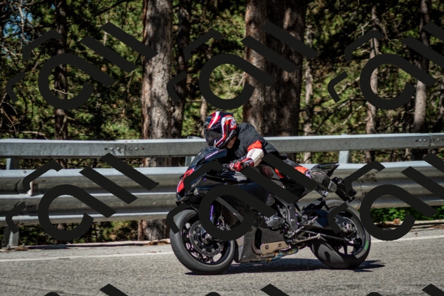 202506291009-DSC_2197_c2