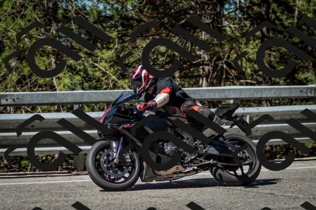 202506291009-DSC_2198_c2